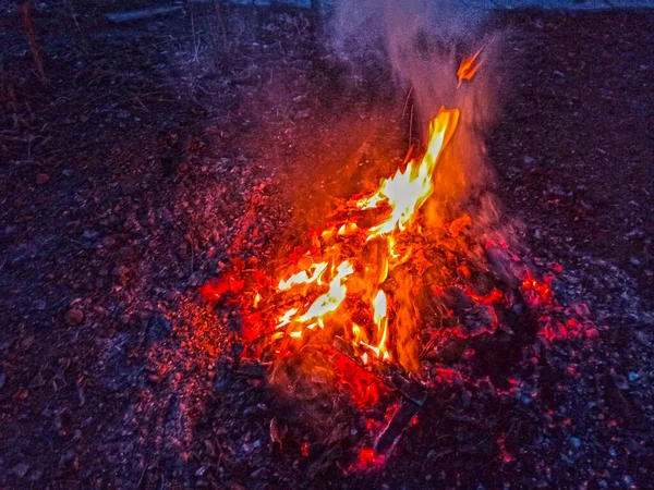 Night Bonfire Field Close — Stock Photo, Image