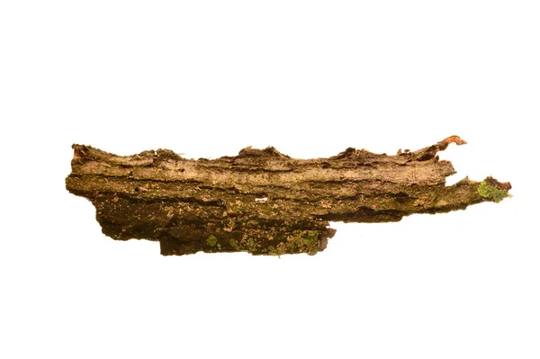 Casca Árvore Isolada Fundo Branco — Fotografia de Stock