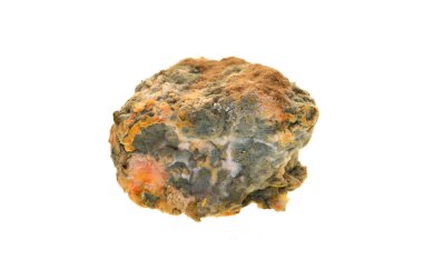 Beyaz arkaplanda küf izole edildi