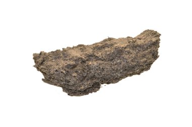 ezilmiş ayçiçeği tohumları beyaz arka planda izole