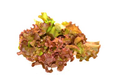 Beyaz arkaplanda marul izole