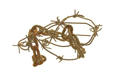 Beyaz arkaplanda zincir izole edildi