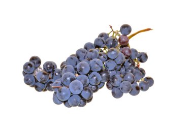 Beyaz arkaplanda izole edilmiş üzümler