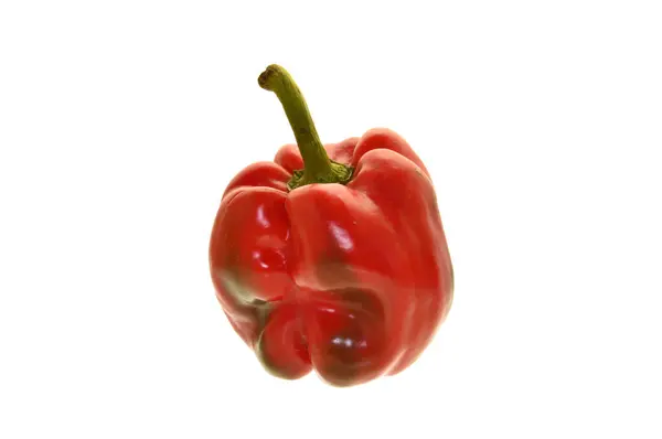 Bell Pepper Isolated White Background — Stock Photo, Image