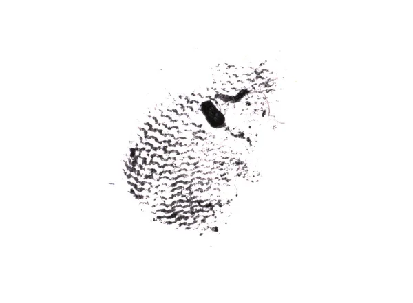 Impronta Digitale Isolata Sfondo Bianco — Foto Stock
