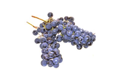 Beyaz arkaplanda izole edilmiş üzümler