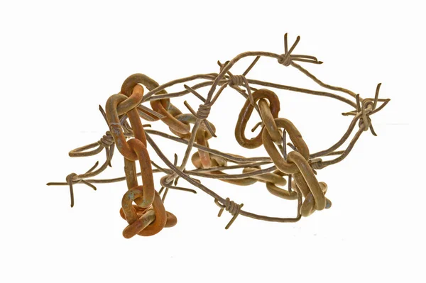 Beyaz arkaplanda zincir izole edildi