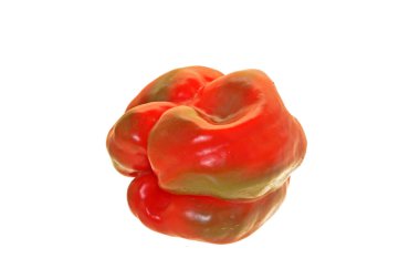 dolma biber beyaz arkaplanda izole edildi