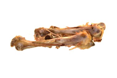 Beyaz arka planda izole edilmiş tavuk kemikleri