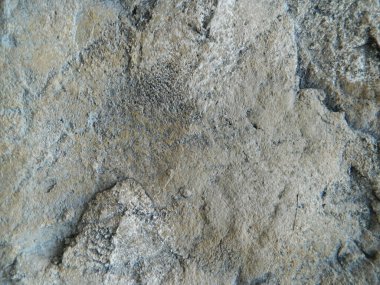                                Eski duvarların çizimleri - kaldırıldı - yakın plan