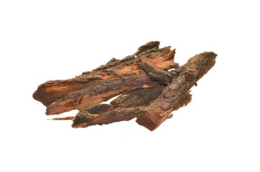 Beyaz arkaplanda ağaç kabuğu izole