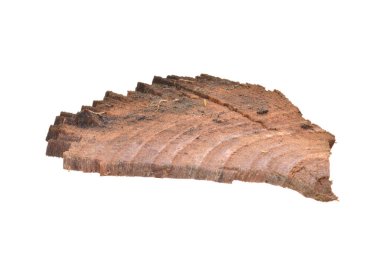 Beyaz arkaplanda yakacak odun