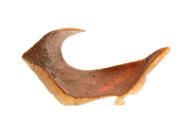 izole üzerinde beyaz arka plan domuz yağı