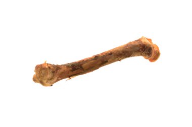 Beyaz arka plan üzerinde izole kemik