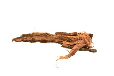 Beyaz arkaplanda ağaç kabuğu izole