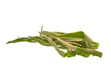 Beyaz arkaplanda yeşil soğan izole edildi