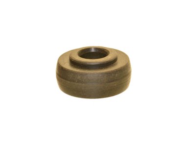 Makara beyaz arkaplanda izole edildi