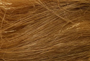 Beyaz arkaplanda izole edilmiş çekici