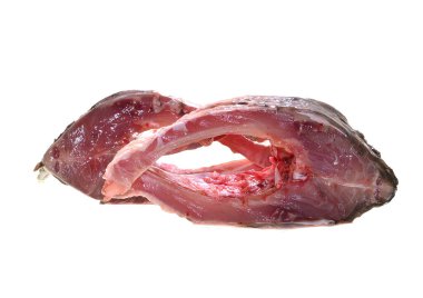 Beyaz arka plan üzerinde izole et balık