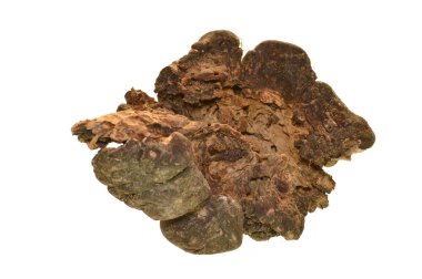 Beyaz arkaplanda yakacak odun