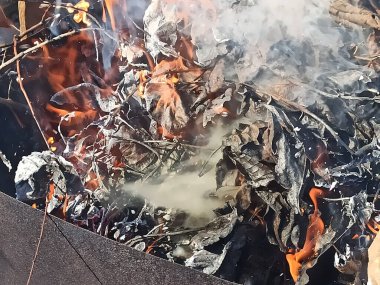 Baharda yanmış yapraklar - yakın