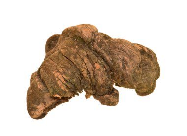 Beyaz arkaplanda yakacak odun