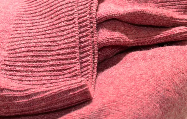 Beyaz arka plan üzerinde izole kazak