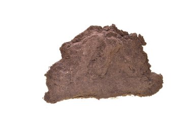 beyaz arkaplanda izole edilmiş toprak