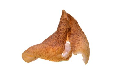 izole üzerinde beyaz arka plan domuz yağı