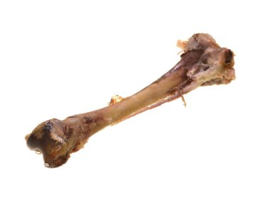 Beyaz arka plan üzerinde izole kemik