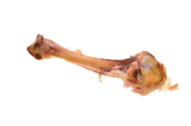 Beyaz arka plan üzerinde izole kemik