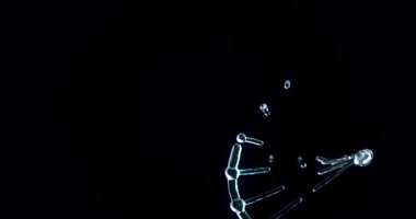 Bireysel moleküllerden yavaş yavaş oluşan cam benzeri bir DNA sarmalının büyüleyici bir CGI yansıtıcısı ve katıksız siyah bir arkaplan üzerinde dönüyor. Temiz, şeffaf yapı ince bir çizikle vurgulanır.