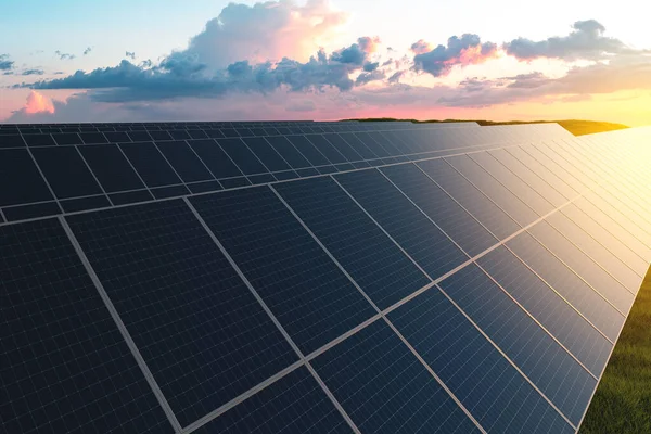 夕阳西下 一排排的太阳能电池板映衬在绿草的背景下 替代电力地面发电厂 — 图库照片