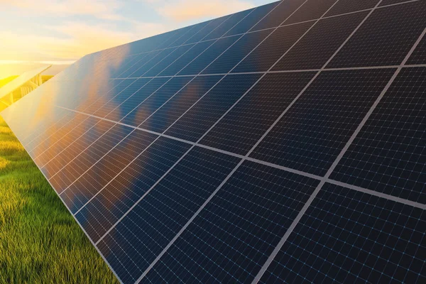 夕阳西下的太阳能电池板映衬着青草的背景 替代电力地面发电厂 — 图库照片