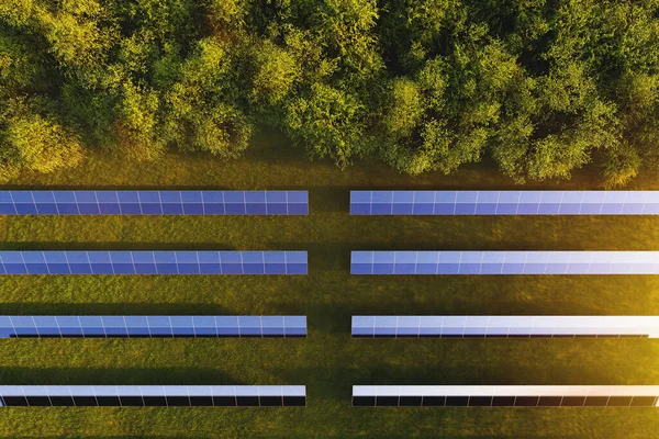 Ηλιακοί Συλλέκτες Αεροφωτογραφία Ανάμεσα Πράσινα Δέντρα Στο Δάσος Κατά Ηλιοβασίλεμα — Φωτογραφία Αρχείου