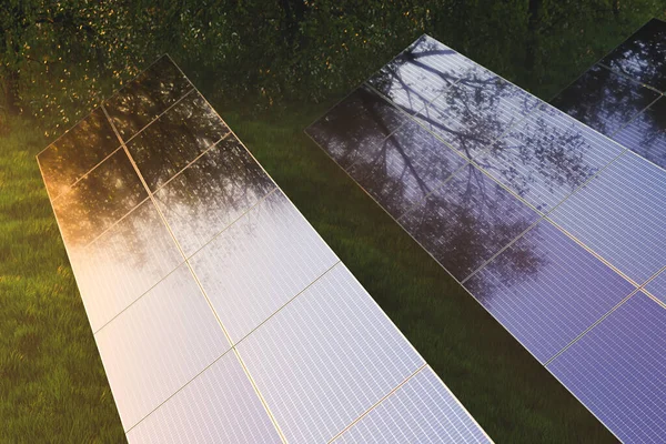 Sluneční Panely Mlze Mezi Zelenými Stromy Lese Při Západu Slunce — Stock fotografie