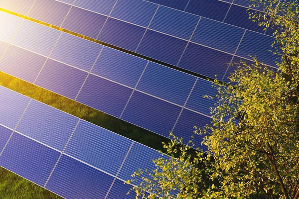 日落时分 绿树间的太阳能电池板 — 图库照片