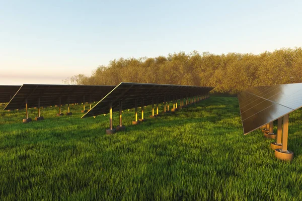 夕阳西下 一排排的太阳能电池板在绿茵的草地上 映衬着森林里的树木 — 图库照片