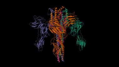 Bacillus Thuringiensis 'ten Vip3Aa toksin yapısı. Animasyon 3D karikatür ve Gauss yüzey modelleri, zincir kimlik şeması, PDB 6tfk, siyah arkaplan