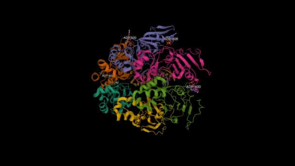 Cryo Structure Pcv2 Replicase Bound Ssdna Animated Cartoon Gaussian Surface — Stock Video