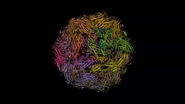 Porcine Circovirus Nin Yapısı Canlandırılmış Karikatür Gauss Yüzey Modelleri Pdb — Stok video
