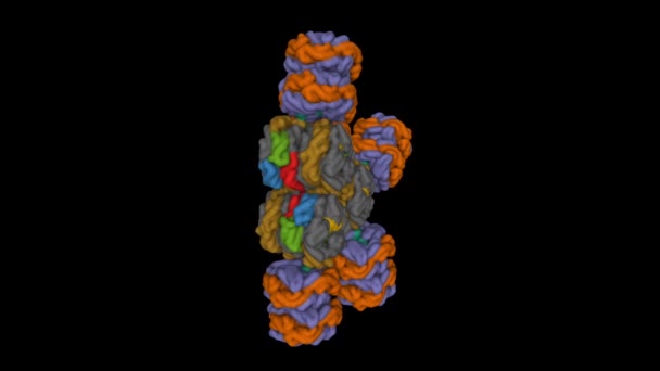 Struktura Krio Fikobilisomu Cyjanobakteryjnego Synechococcus Pcc 7002 Animowany Model Powierzchni — Wideo stockowe