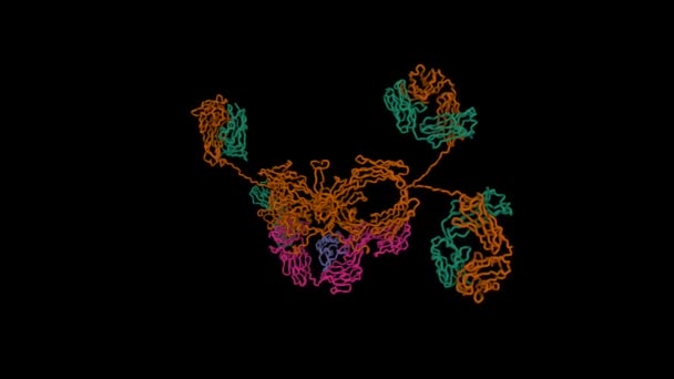 Struktura Roztworu Wydzieliny Ludzkiej Iga1 Animowane Modele Kreskówek Powierzchni Gaussa — Wideo stockowe