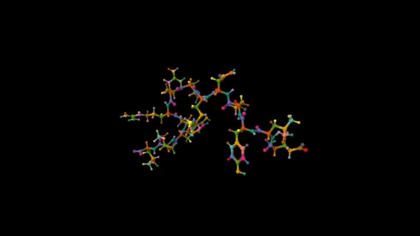 Structure Hormone Neurotensin Ball Stick Gaussian Surface Model Pdb 2Lne — Stockvideo