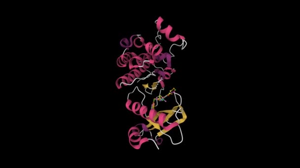 Structure Met Inhibitor Cartoon Model Secondary Structure Color Scheme Pdb — Stockvideo