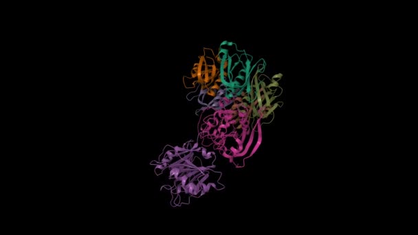Structure Typhoid Toxin Animated Cartoon Gaussian Surface Models Pdb 4K6L — Vídeos de Stock