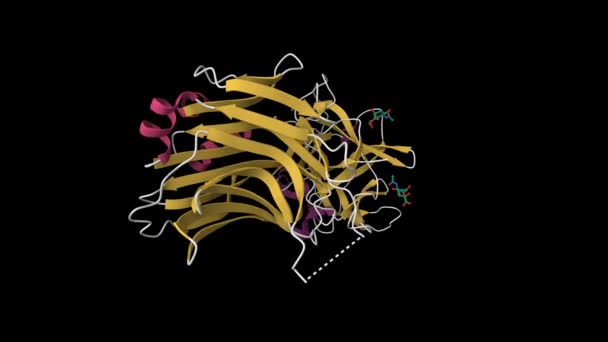 Structure Botulinum Neurotoxin Type Animated Cartoon Model Secondary Structure Color — Video Stock