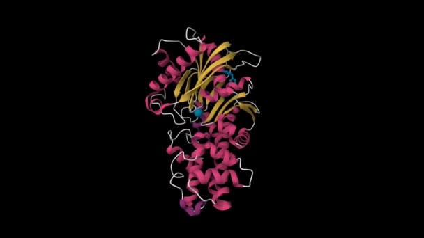 Ludzka Glukokinaza Kompleksie Nowym Aktywatorem Aminotiazolu Animowany Model Kreskówki Powierzchni — Wideo stockowe