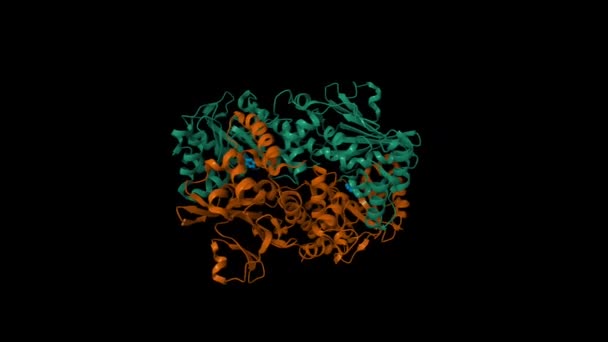 ニコチンアミド と複雑なヒトニコチンアミドリンフェラーゼ Nmprtase のクリスタル構造 アニメーション3D漫画とガウシアン表面モデル Pdb 2E5D 黒い背景 — ストック動画