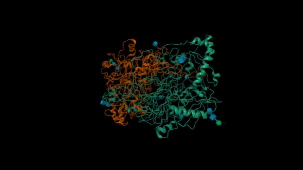 Rdzenna Struktura Rozpuszczalnej Ludzkiej Pierwotnej Aminooksydazy Aoc3 Animowane Modele Kreskówek — Wideo stockowe